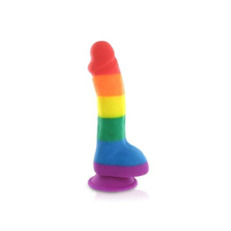 Rainbow Pure Love Silicone Dildo